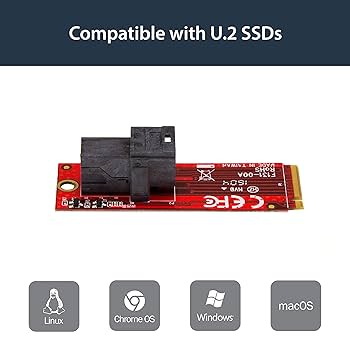 Amazon.co.jp: StarTech.com U.2 (SFF-8643) - M.2 PCI Express